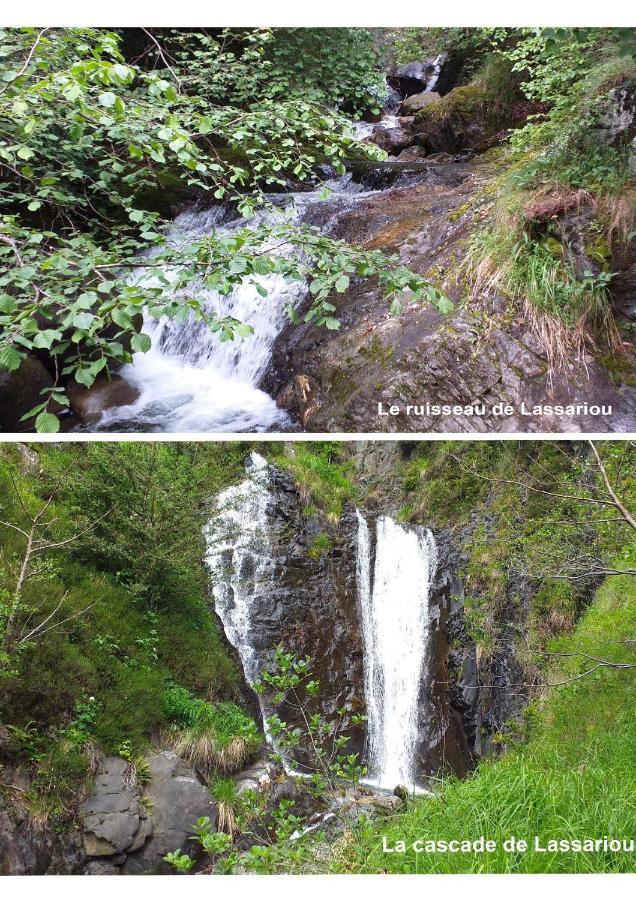 T2 Cabine De Lassariou Лю-Сен-Совер Екстер'єр фото